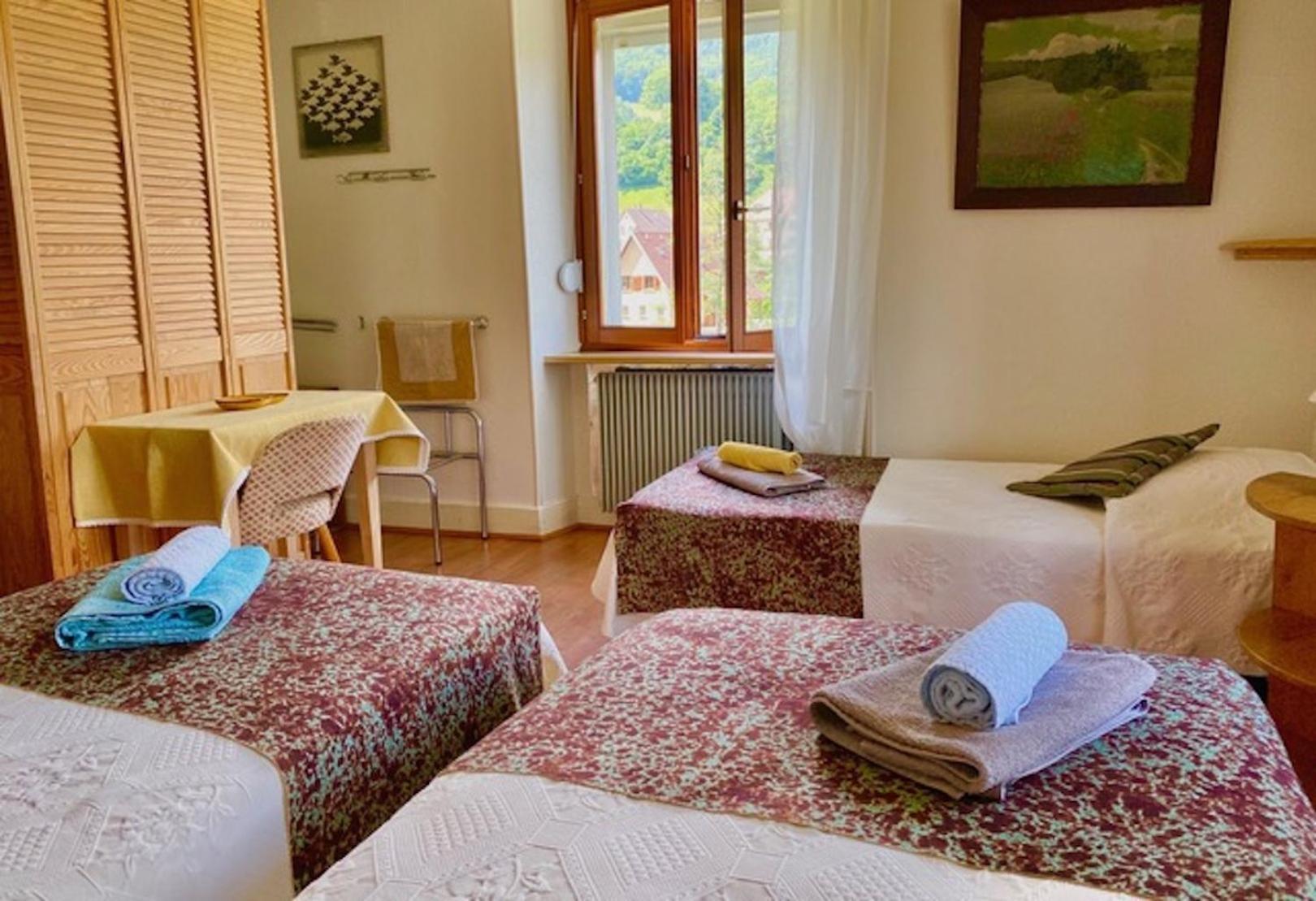 Appartements Maison Bellevue Munster  Εξωτερικό φωτογραφία